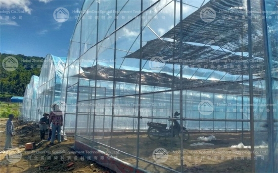 Steel Greenhouse